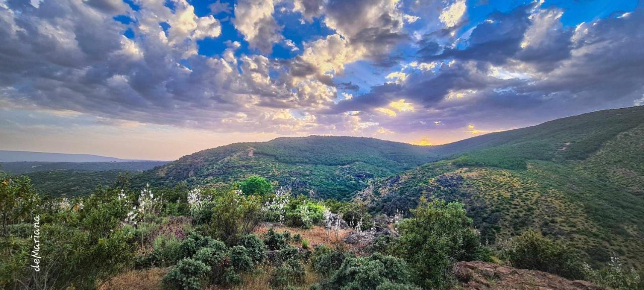 Вилла Casa Demaximo Навальпино Экстерьер фото